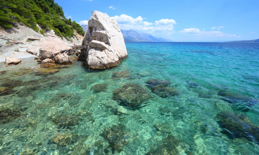 5c168eb43f7aa56d81cee9e30c86aa9d_XL